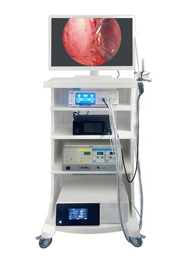 Système d'endoscope intégré Full HD